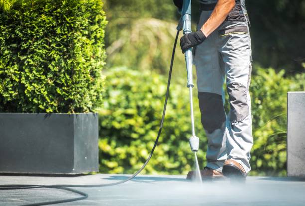 Best Solar Panel Cleaning  in Riverdale, CA